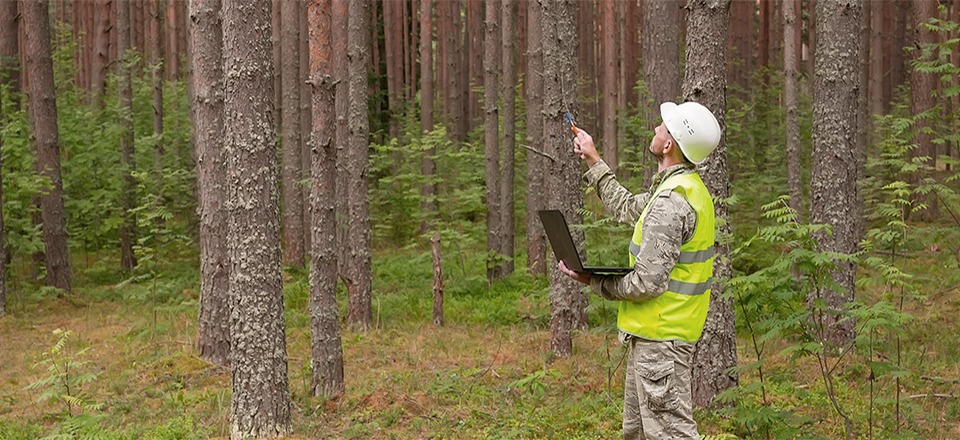 Forest acquisition and professional management